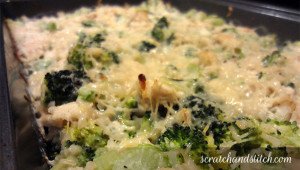 Broccoli and Chicken Casserole - scratchandstitch.com