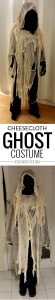 DIY Cheesecloth Ghost Costume - scratchandstitch.com