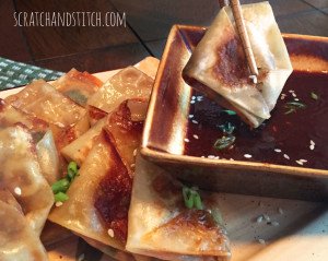 Easy Asian Dumpling Recipe - scratchandstitch.com