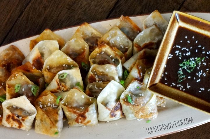 Easy Asian Dumplings Recipe - scratchandstitch.com