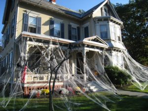 Halloween Haunted House Cobwebs