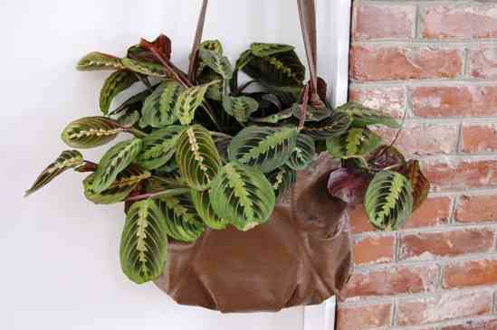 Purse Upcycle to Hanging Planter