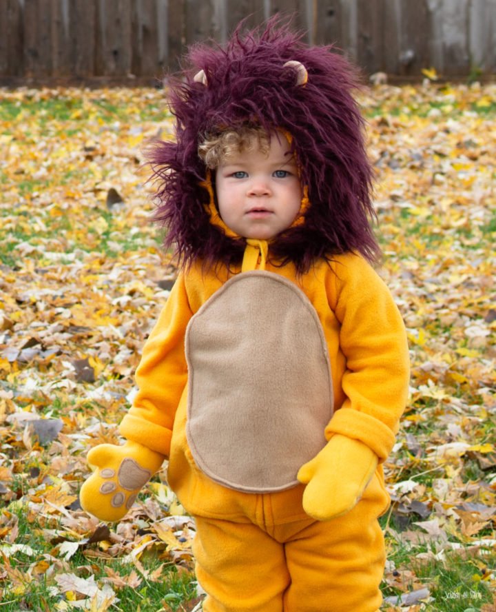 DIY Kids Costume Lion by scratchandstitch.com
