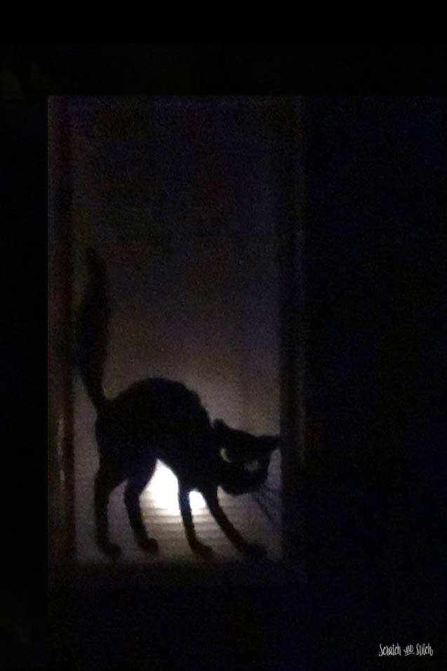 DIY Halloween Cat Silhouette