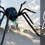 DIY Giant Spider and Spiderweb for Halloween Decorations