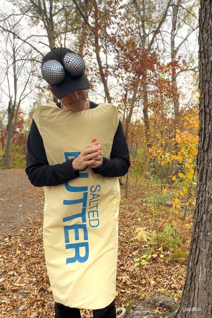 Adult Butter Fly Costume DIY