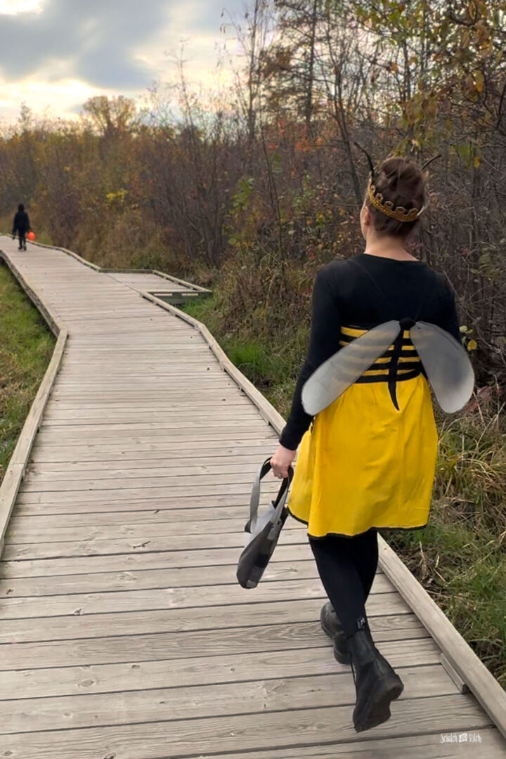 DIY Women's Bee Costume with Crown and Wings